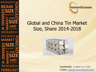 Global and China Tin Market Size, Share 2014-2018