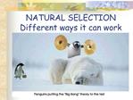 NATURAL SELECTION Different ways it can work