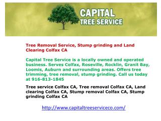 Tree service Colfax CA, Tree removal Colfax CA, Land clearin