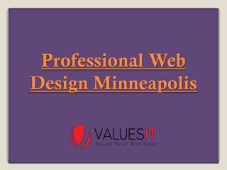 Professional Web Design Minneapolis