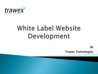White Label Website Development