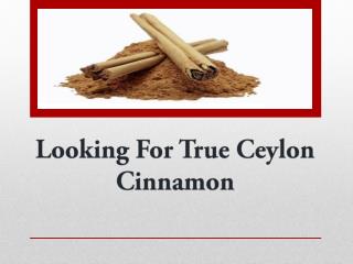 Looking For Real Ceylon Cinnamon Supplement
