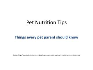 Dog Nutrition Tips for Best Health