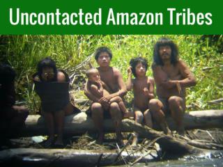 Uncontacted Amazon tribes