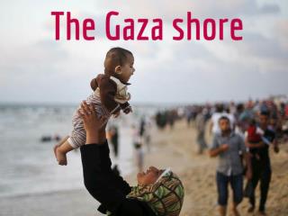 The Gaza shore