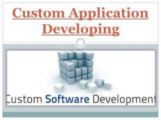 Custom Application Developing