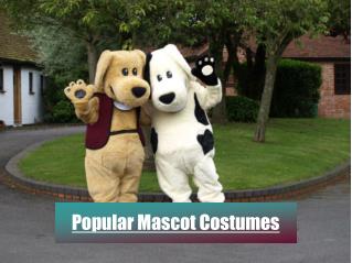 Popular mascot costumes