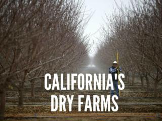 California's dry farms