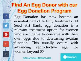 Find An Egg Donor with our Egg Donation Program