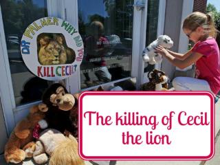 The killing of Cecil the lion