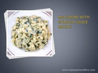 Macaroni with Spinach Sauce Recipe