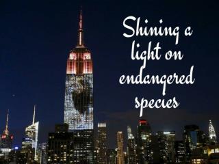 Shining a light on endangered species