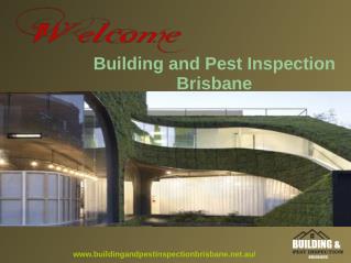 Best Building and Pest Inspection In Brisbane