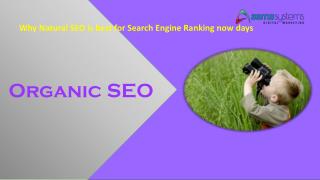 Why Natural SEO is best for Search Engine Ranking now days