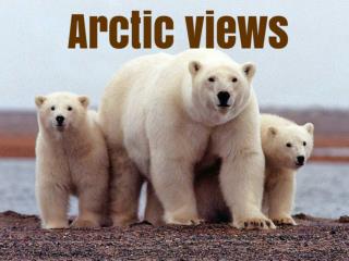 Arctic views