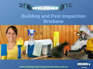 Building and Pest Inspections Brisbane