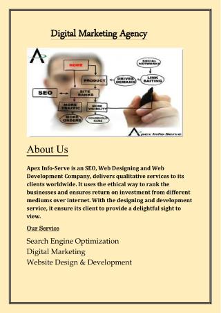 Digital Marketing Agency - Apex Info-Serve