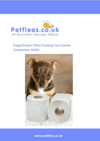 Puppy Power Potty Training Your Canine Companion a Guide