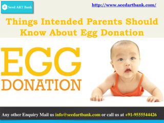 Few Things Intended Parents Should Know About Egg Donation