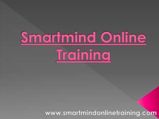 Smartmind Online Training Trainers Strategy | Smartmind Online Training Review