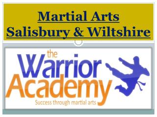 Martial Arts Salisbury & Wiltshire