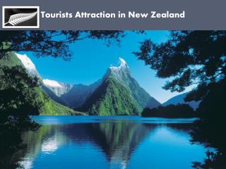 Tourists Attraction in New Zealand