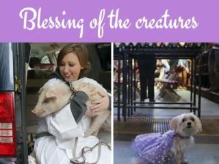 Blessing of the creatures