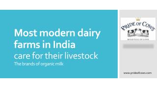 Most modern dairy farms in India care for their livestock