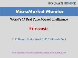 U.K. Hadoop market is expected to grow $873.3 million in 2019 at a CAGR of 54.9%