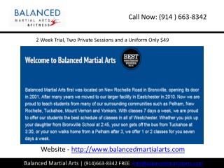 Martial arts schools pelham