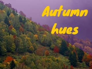 Autumn hues