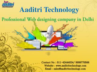 Professional Website designing company in Delhi