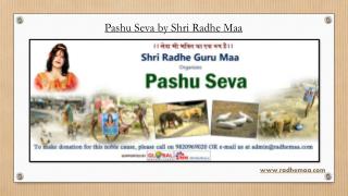 Pashu Seva by Shri Radhe Maa