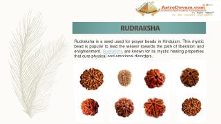 Rudraksha - Do you know it has come from Shiva's tears?