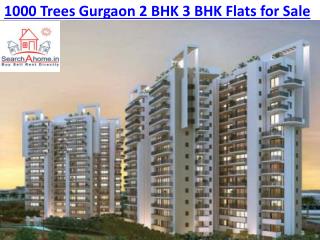 1000 Trees Gurgaon 2 Bhk 3 Bhk Flats For Sale