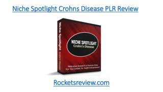 Niche Spotlight Crohns Disease PLR Review