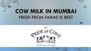 Cow milk in Mumbai – fresh from farms is best