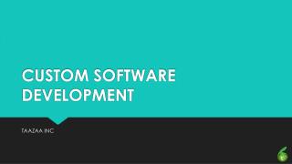 Custom software development