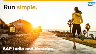 Vestrics Solutions for SAP Business One