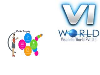 best web development solutions in Noida-visainfoworld.com
