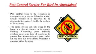Pest control services for Bird