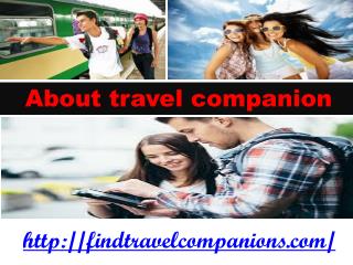 About traveling companions