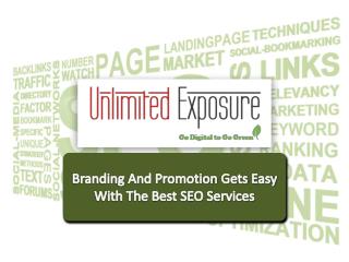 Branding and promotion gets easy with the best search engine optimization services