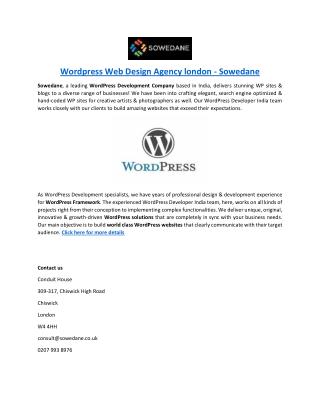 Wordpress-Web-Design-Agency-london-Sowedane