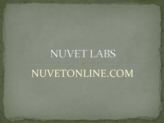 NuVet Labs: Keep New Puppy Costs at a Minimum by Following these 4 Steps