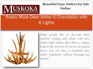 Beautiful Faux Antlers for Sale Online