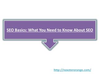 SEO Basics: What You Need to Know About SEO