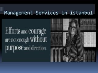 Management Services in istanbul