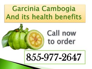 Garcinia Cambogia Side Effects and Benefits