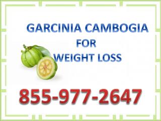 Lose weight with Garcinia cambogia